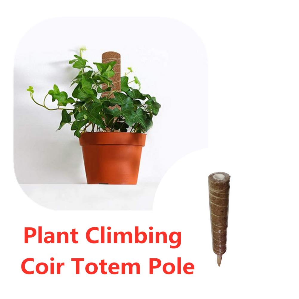 SOWLFE Poste de tótem para Plantas, Musgo de Fibra de Coco, Palos ...