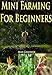 Mini Farming For Beginners by 