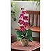 Nearly Natural Phalaenopsis Silk Orchid Flower Arrangement