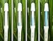 IPPINKA Sustee Aquameter, White, Small, Set of 2 - Soil Moisture Meter for Potted Plants - Plant Water Sensor (Refillable Style)