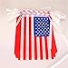 TSMD 100Feet American Flag Banner String,76pcs USA Pennant flags Banners For Grand Opening,Olympics,Bar,Party Decorations,Sports Clubs,Restaurants,Festivalc (8.2