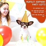 Jiosdo 11pk Birthday Party Hats Cone Paper Hats with Pom Poms for Kids Adults view 6
