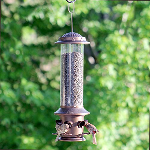 Squirrel X X5 Squirrel Resistant Bird Feeder 3 Pound Bird Seed