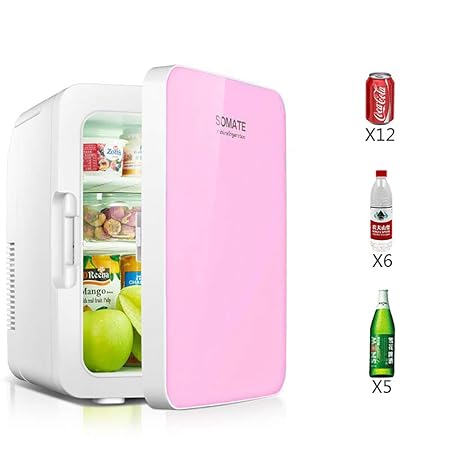 FDY 10L Mini Nevera Enfriador y Calentador Eléctrico - 12V / 220V ...