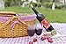Wicker Picnic Baskets with Double Folding Handles | Little Red Riding Hood Basket for Kids | Hard Wood Top | Hand Woven Wicker Great for Easter Basket | Storage of Plastic Easter Eggs Gingham Basket