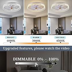 Fszdorj 20‘’ Ceiling Fan with Light, 2024