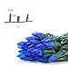 MAXINDA [UL Certified] Outdoor LED String Lights,17 feet 50 LEDs Mood Lighting Strands,Diamond Strawberry C3 Bulbs,Blue Christmas Lights,for Patio Garden Holiday Wedding Decor (C3, Blue)
