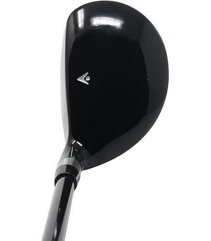 Amazon.com: Mini Driver