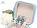 LELADY Small Jewelry Box Portable Travel Jewelry Case Organizer Faux Leather Storage Holder for Earrings Rings Necklaces, Gifts for Women Girls Mini Size (Sky Blue)