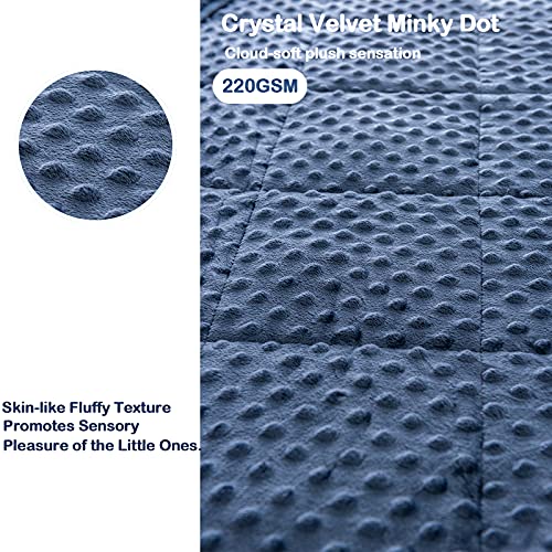 Sherpa Weighted Blanket 15 lbs for Adult, Cottonblue Luxury Comfy Bedding Blanket with Minky Dot Velvet, Dual Sided Soft Hug Blanket for Sofa Couch Bed Home Decor, Navy Blue, 60\'\'x80\'\'