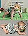 Fubin Baby Girl's Floral Print Ruffles Romper Summer Clothes With Headband,Mint,7-12 months
