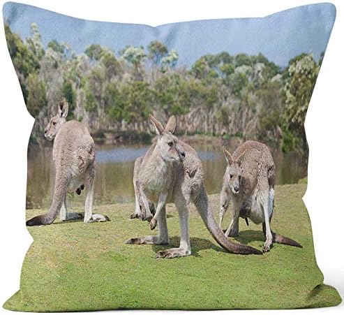 Nine City Group of Kangaroos in Phillip Island Wildlife Park Sack Burlap Pillow,HD Printing Square Pillow case,20" W by 20" L