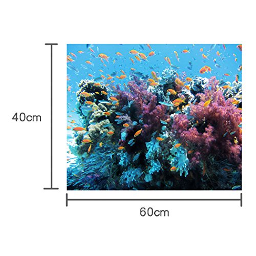 image for BMALL Aquarium Background Fish Tank Sticker Undersea World PVC Aquariu