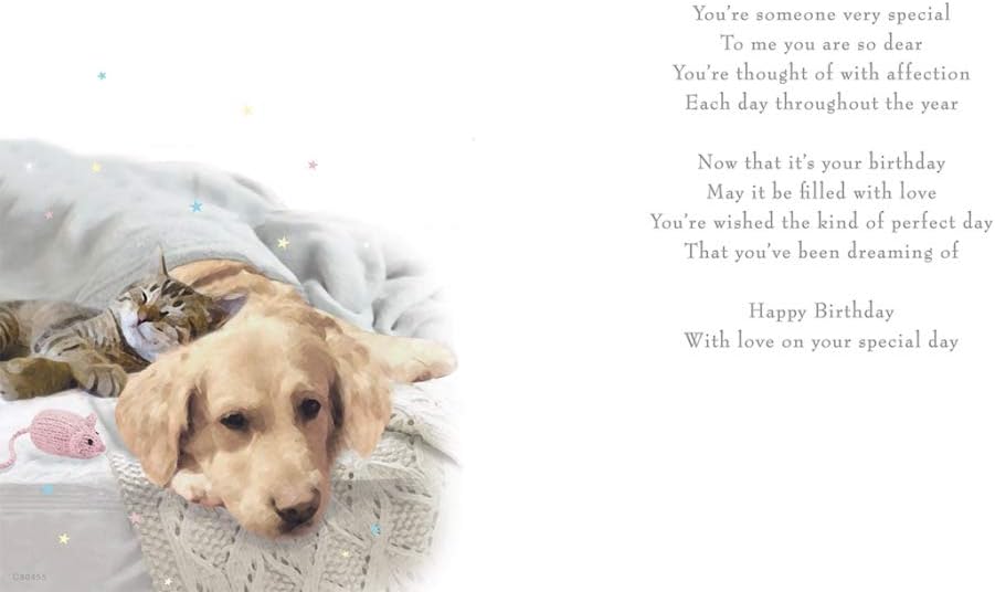 Piccadilly Greetings Someone Special Birthday Card***Golden Labrador Retriever Dog with CAT***9 X 6 INCHES***1AD7**,brown - Image 3