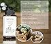 Ginger Rhizome & Kaffir Lime Shampoo - Natural Oily Scalp & Greasy Hair Treatment - Men & Women - Pure Thickening, Growth & Volume - No Paraben, No Fragrance, No SLS, SLES