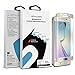 Stalion Tempered Glass Screen Protector for Samsung Galaxy S6 Edge - Retail Packaging - Gold Platinum
