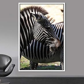signwin Framed Canvas Wall Art Zebra Animals Dramatic...