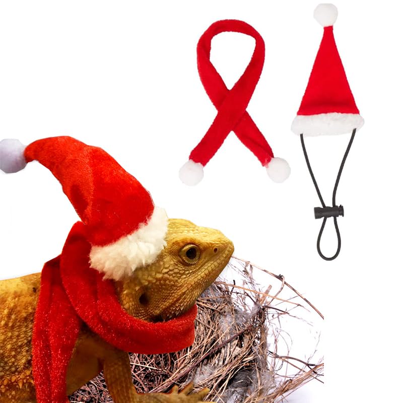 CQJ Bearded Dragon Santa Hat and Scarf Set Christmas Costume for Reptile Small Animals Halloween Xmas for Pet