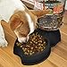 Animal Planet Self-Dispensing Automatic Gravity Pet Dog + Cat Feeder & Waterer Combo Bundle for Dogs & Cats – 2 Pack Value Set (Black)thumb 3