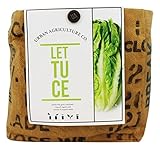 The Urban Agriculture Organic Grow Kit - Lettuce
