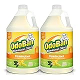 OdoBan 1 Gal Concentrate 2-Pack, Citrus Scent - Odor Eliminator, Disinfectant, Flood Fire Water Restoration