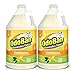OdoBan 1 Gal Concentrate 2-Pack, Citrus Scent - Odor Eliminator, Disinfectant, Flood Fire Water Restoration