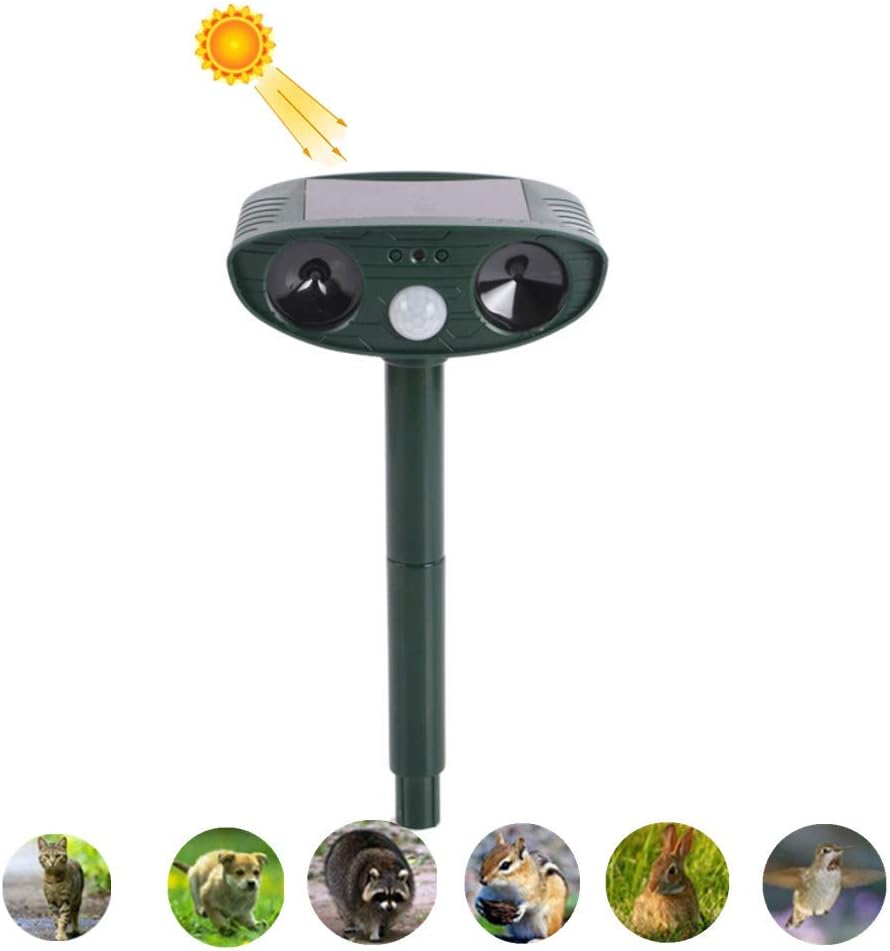 storditore per cani da guardia