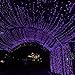 Purple Solar Lights, Ankway Fairy Lights Solar Powered Outdoor IP65 Waterproof 200 Led Solar String Lights Purple 8 Modes 72 Ft Solar Powered Twinkle Fairy Lights For Trees Halloween Decor (Purple)