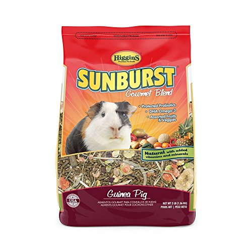 Higgins Sunburst Guinea Pig 6 Lbs