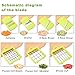 Godmorn Mandoline Slicer, Vegetable Veggie Chopper Dicer Cutter Grater, 7 Interchangeable Stainless Steel Blades, Preparing Vegetables Fruits Salad Low-Carb, Paleo Gluten-Free Diets, For Home/Camping