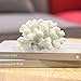 Redeco White Artificial Resin Rice Coral, Home Office Ornament, Aquarium Decoration, Ocean Sea Decor 5