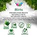 Sugar-Free Mints - Cinnamon Flavor (100 tabs, 24 g): Mints Naturally Sweetened with Stevia, Free of: Sugar, Carbs, Calories, Aspartame & Artificial Sweeteners; New and Improved.