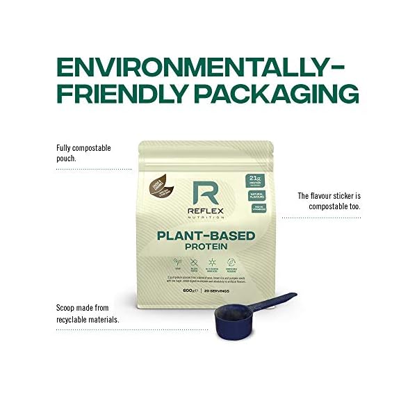 Reflex-Nutrition-Plant-Based-Vegan-Protein-with-B12-Great-Taste-Vegan-Protein-Wild-Berry-600g Reflex Nutrition Plant Based Vegan Protein Powder with B12 | Great Taste | (Wild Berry, 600g)