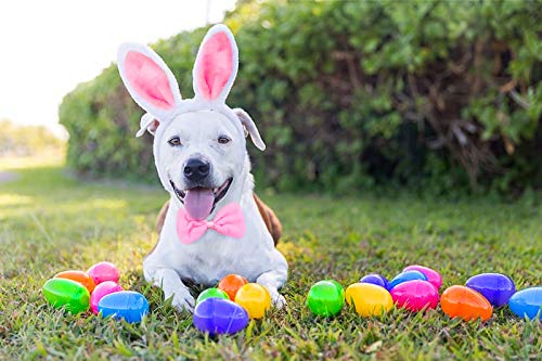 Dog Bunny Costume Set,Pet Rabbit Ears Headband Tail and Cat Bowtie Collar - Thumbnail 4