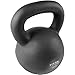 Titan Fitness 55 LB Cast Iron Kettlebell, Single Piece Casting, LB Markings, Full Body Workout
