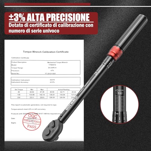 Torque Wrench 1/2" 20-230 Nm - 6 Pieces Car Torque Wrench 72 Teeth Ratchet with Extension Bar & Adapter 1/2" to 3/8" & Sockets 17mm/19mm/21mm for Car, Motorcycle, Tire Change