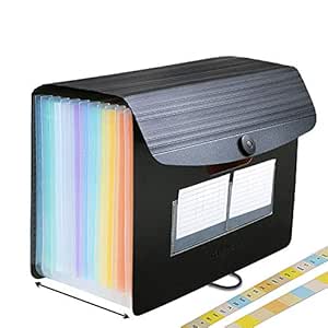 Carpeta Clasificadora - ABClife Archivador acordeón 12 Bolsillos de