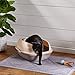 Amazon Basics Open Top Cat Litter Box - 19 x 9 x 16 Inches, Beige