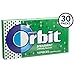 Orbit Spearmint Sugarfree Chewing Gum 42 Piece Bag, (Pack of 10)