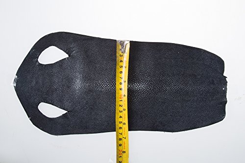 Genuine Real Stingray Already Glossy Coloring and Smoothing Skin Grade A
