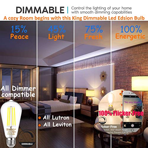 Dimmable Vintage LED Edison Light Bulbs 60 Watt Equivalent, 6W LED