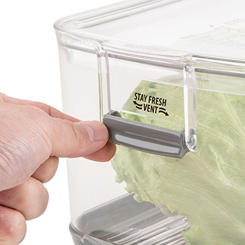 Prepworks by Progressive Produce ProKeeper Storage Container with Stay