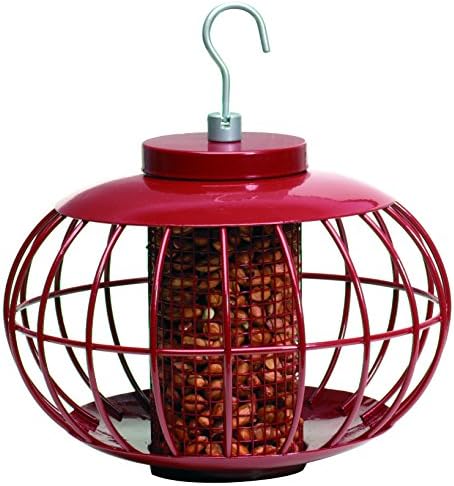 The Nuttery NT050 Classic Peanut/Sunflower Seed Feeder