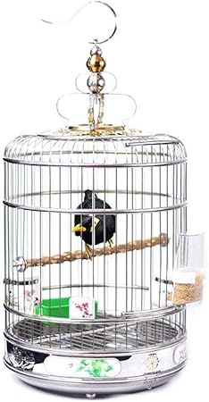 canary bird supplies