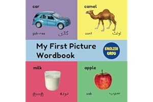 My First Picture Wordbook English Urdu: Bilingual Picture Book For Kids With Over 120 Words UK Edition