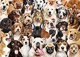 Peter Pauper Press All The Dogs 1000 Piece Jigsaw