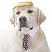FOMATE Dog and Puppy Costume with Hair Piece Wig and Tie. Make Animals Great Again with This Wacky Political Satire Costume Perfect for Gags, Parties, and Events
