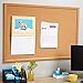 Blue Summit Supplies 24 Inch x 36 Inch Corkboard with Natural Wood Frame, Bulletin Board with Included Push Pins for Office, Classroom, or Home, Mounting Hardware Included