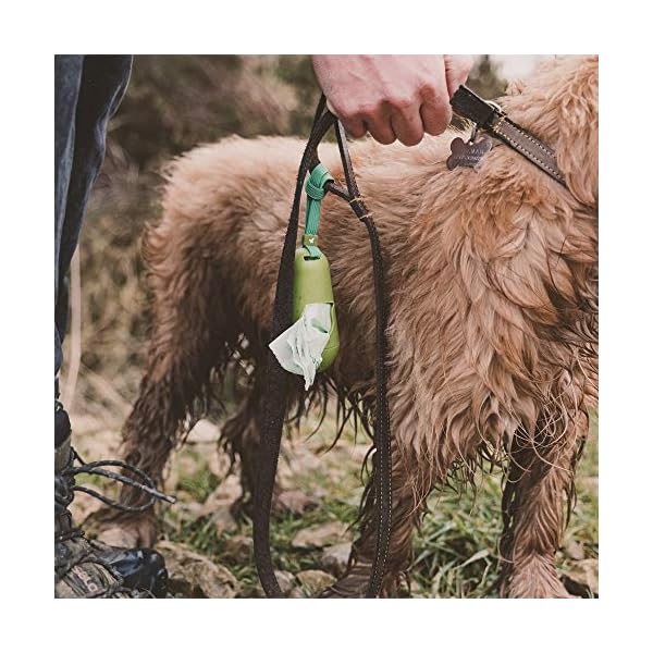 Beco Strong & Large Poop Bags - 60 Bags (4 Rolls of 15) - Unscented - Dispenser Compatible Dog Poo Bags