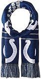 FOCO Indianapolis Colts 2014 Big Logo Scarf